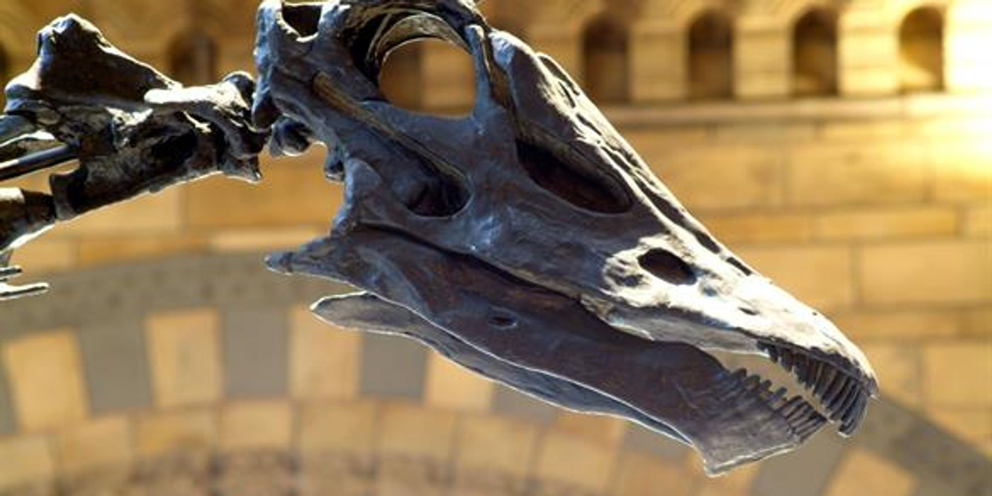 image-b9e9257d04c65e9fd4a7e29c404d7fc47fa6df14-585x390-jpg