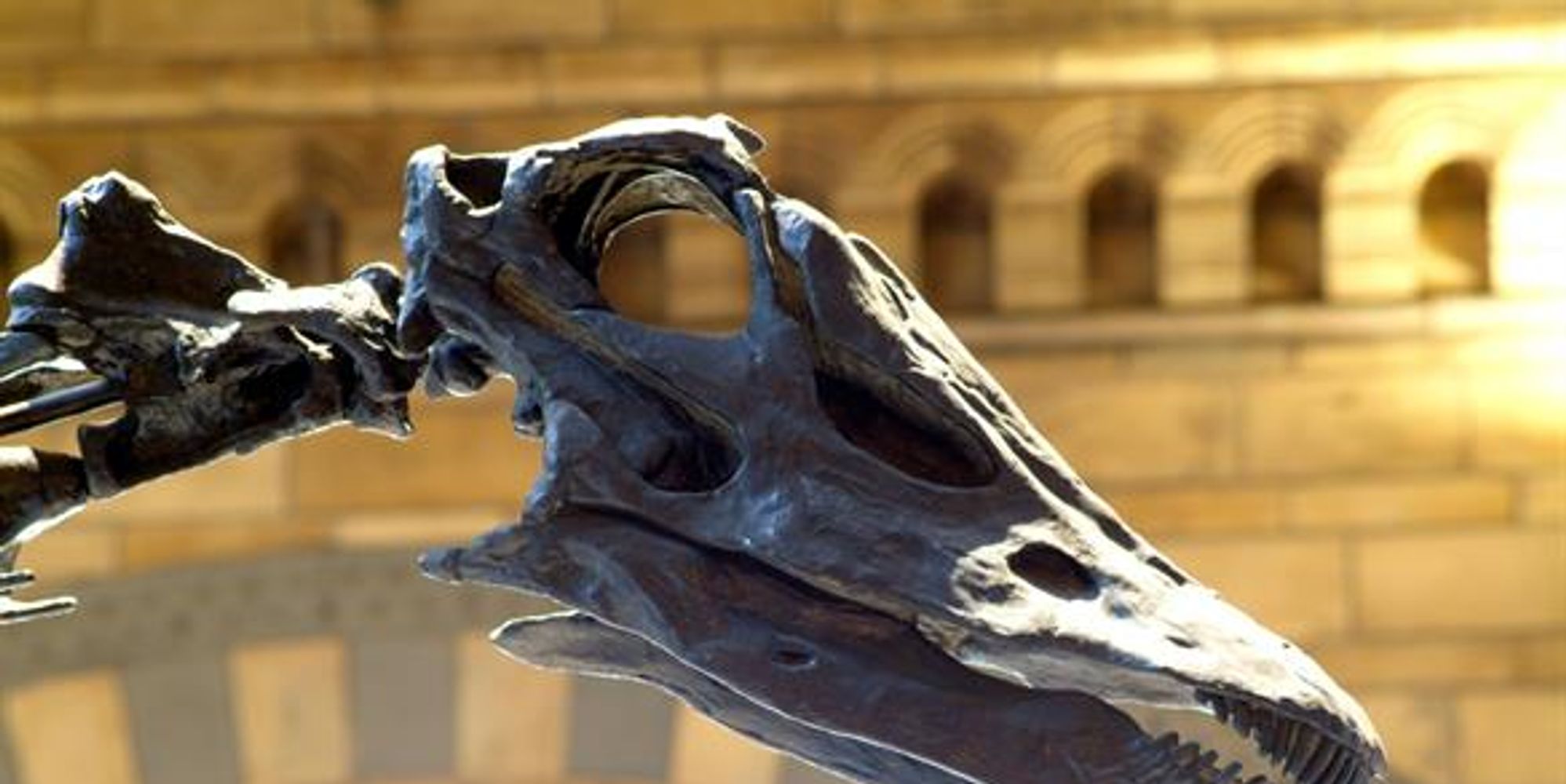 image-b9e9257d04c65e9fd4a7e29c404d7fc47fa6df14-585x390-jpg