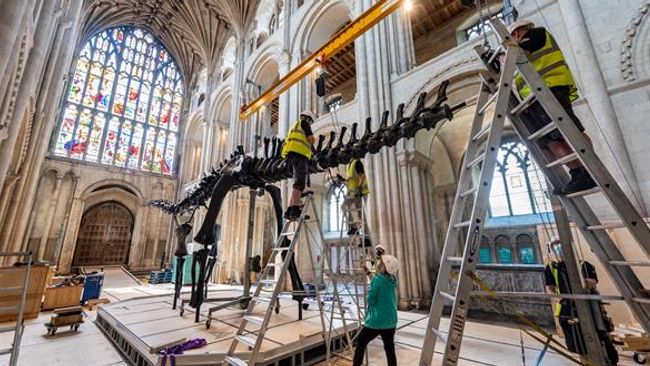 image-bb249d2712b05022c7930af37befe350b109d45f-585x390-jpg