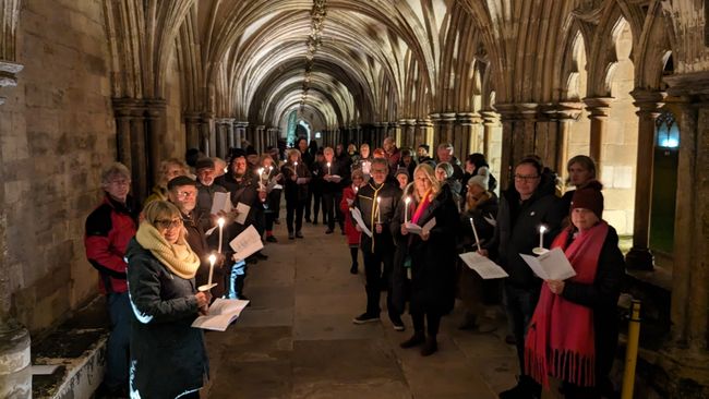 image-bd2d27930c745fcbc855bb991071ab73dd231a07-4032x3024-jpg