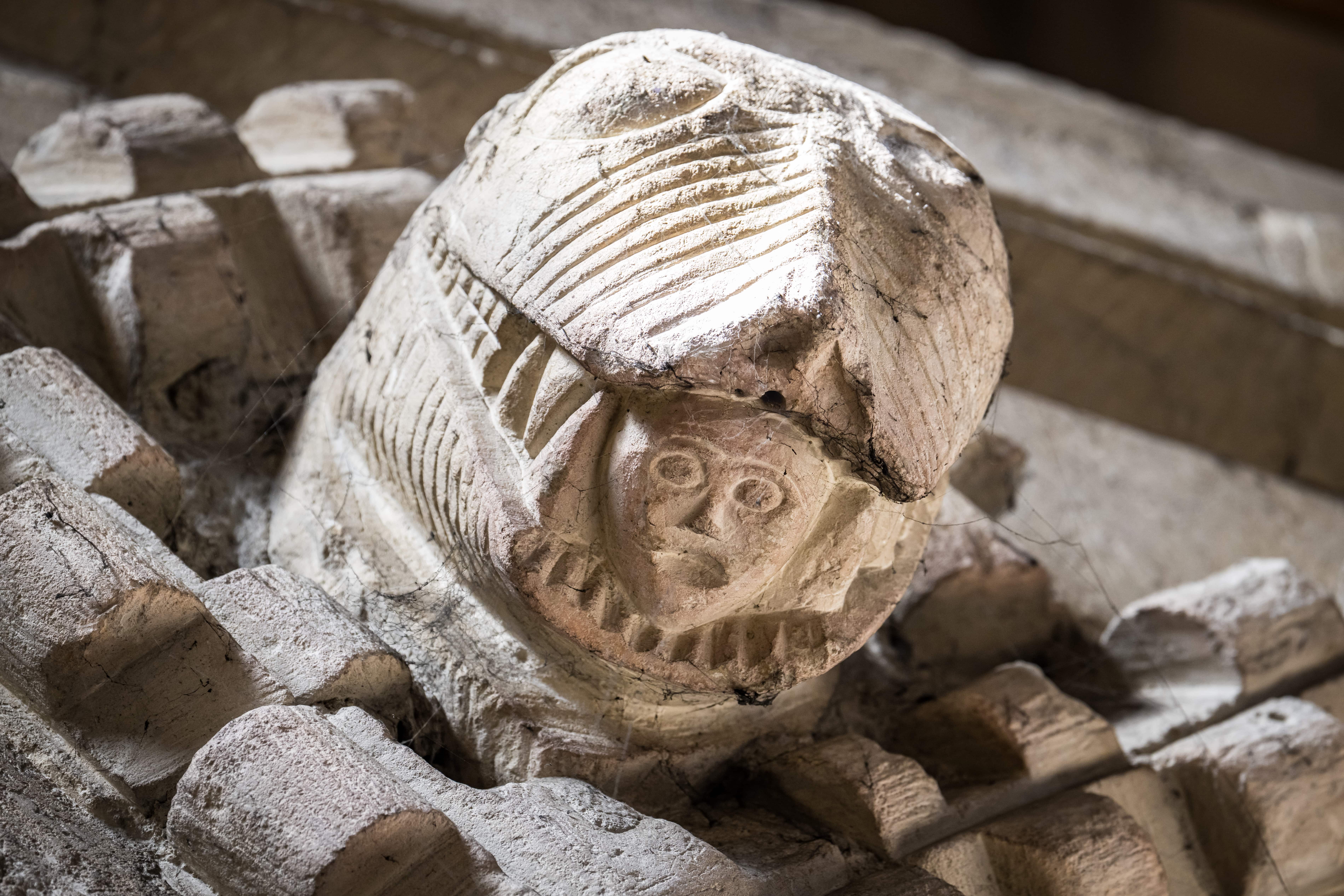 image-bff37960efef91cef7540be0451fb75566c9cff9-7600x5067-jpg