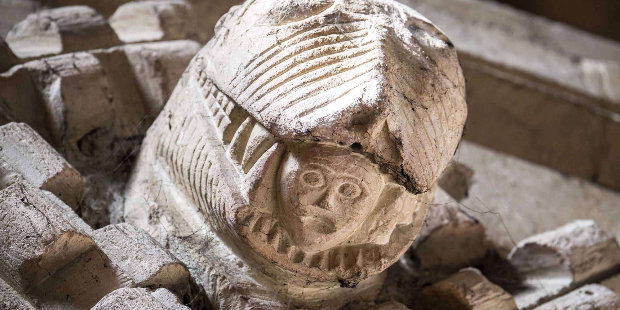 image-bff37960efef91cef7540be0451fb75566c9cff9-7600x5067-jpg