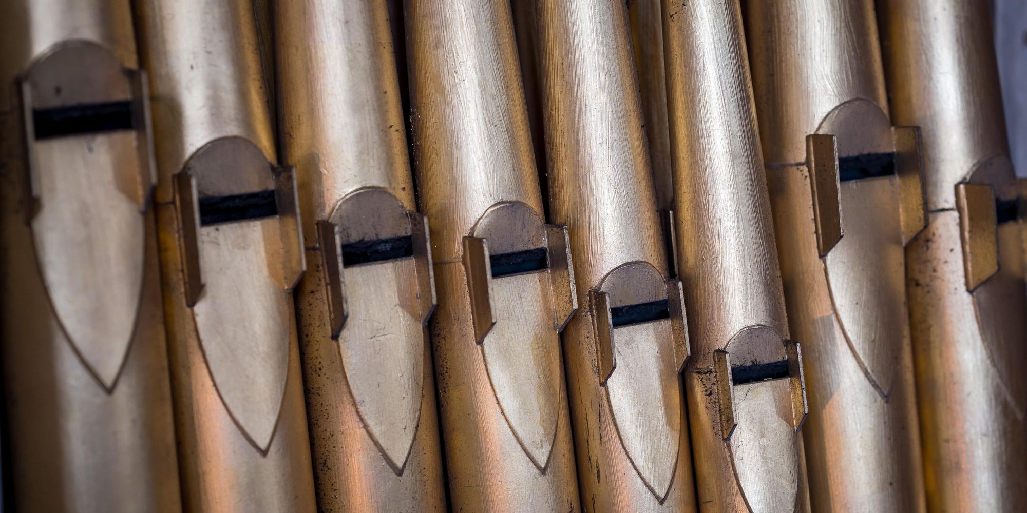 image-c188f8d93c529b4c24d904f9c67aafeed5c276ef-5701x3793-jpg