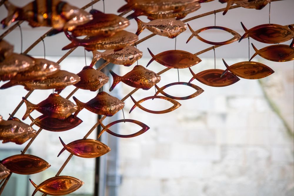 image-c29558beb4f200a7275280f8f4160726bd12c592-7651x5101-jpg