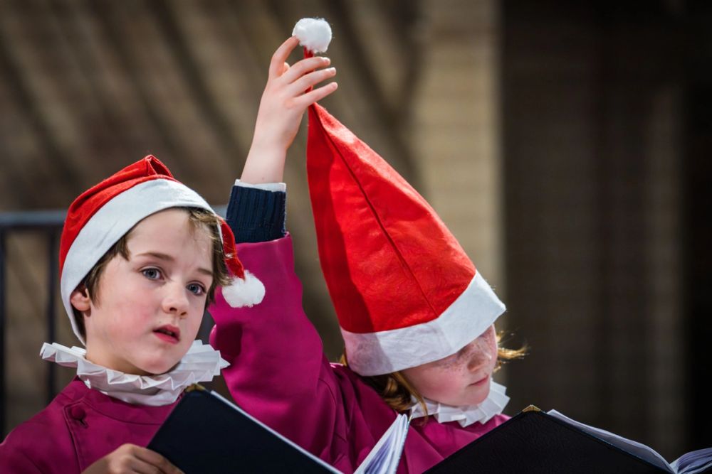 image-c3171e784dbd7fbcf400bba78d3e138b55929b22-7856x5237-jpg