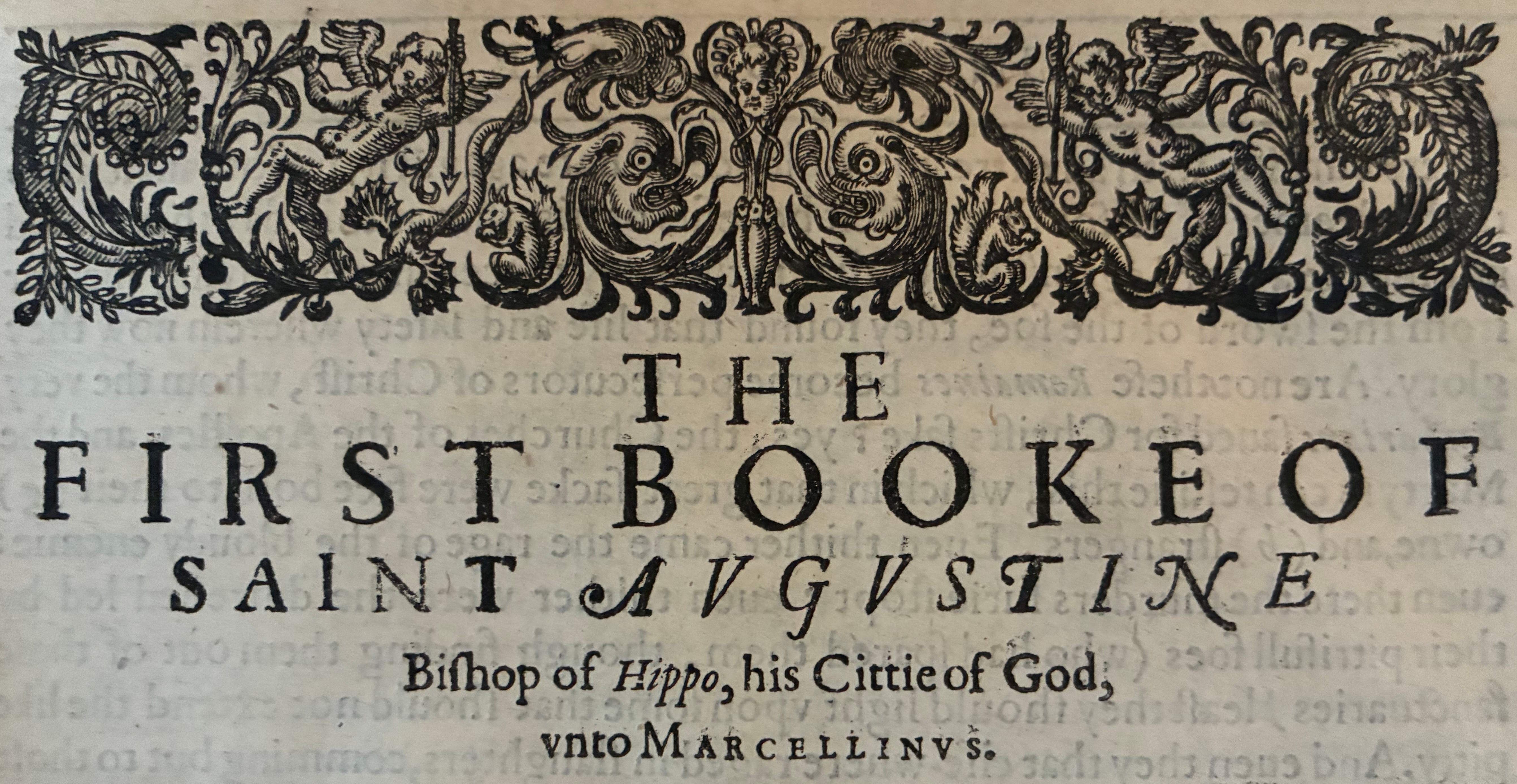 image-c3e45431186522174c058261e91359d36a4124f5-5370x2777-jpg