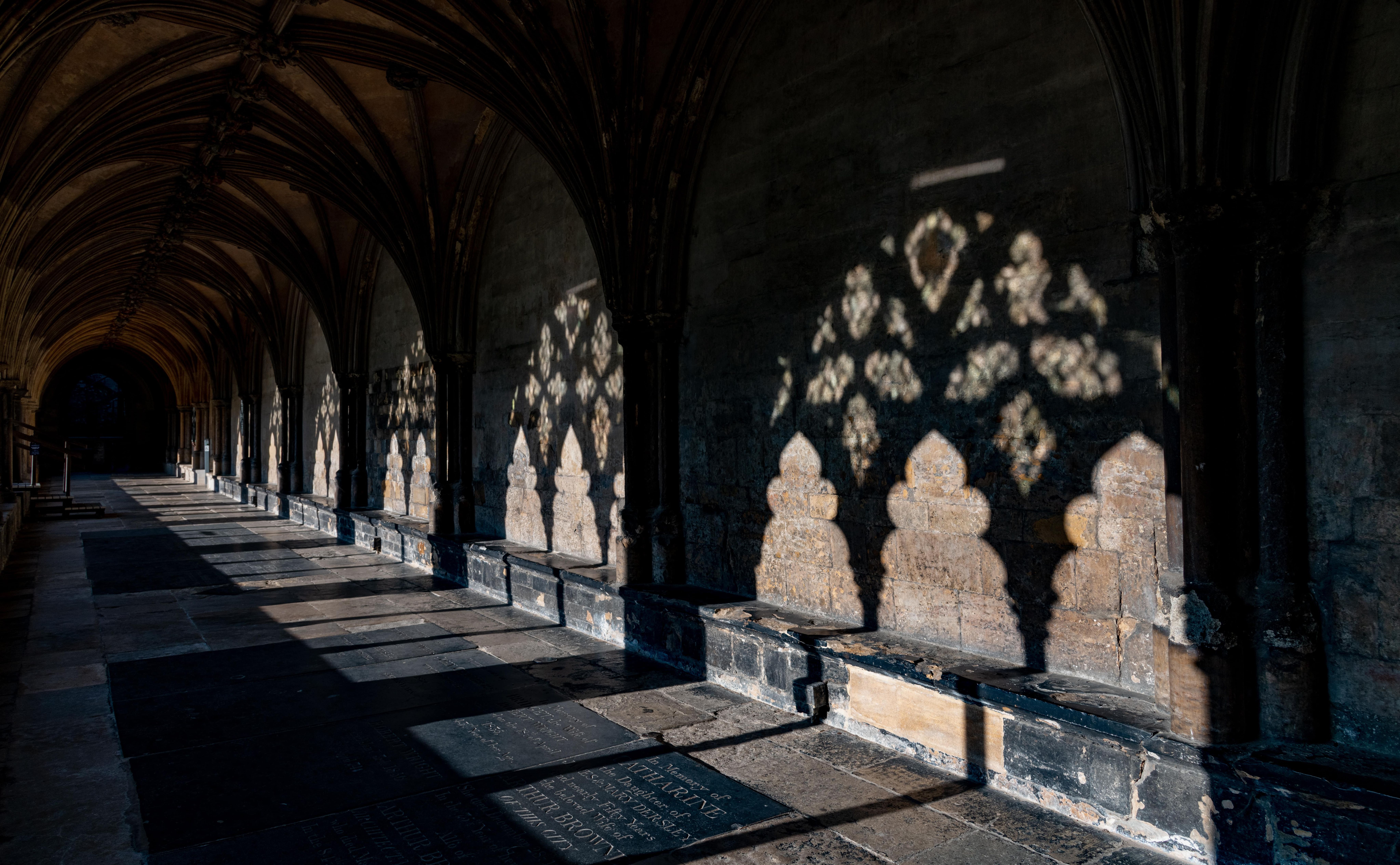 image-c49aeb5ccf111a738ceb33b06610fa3ceff6e954-8256x5103-jpg