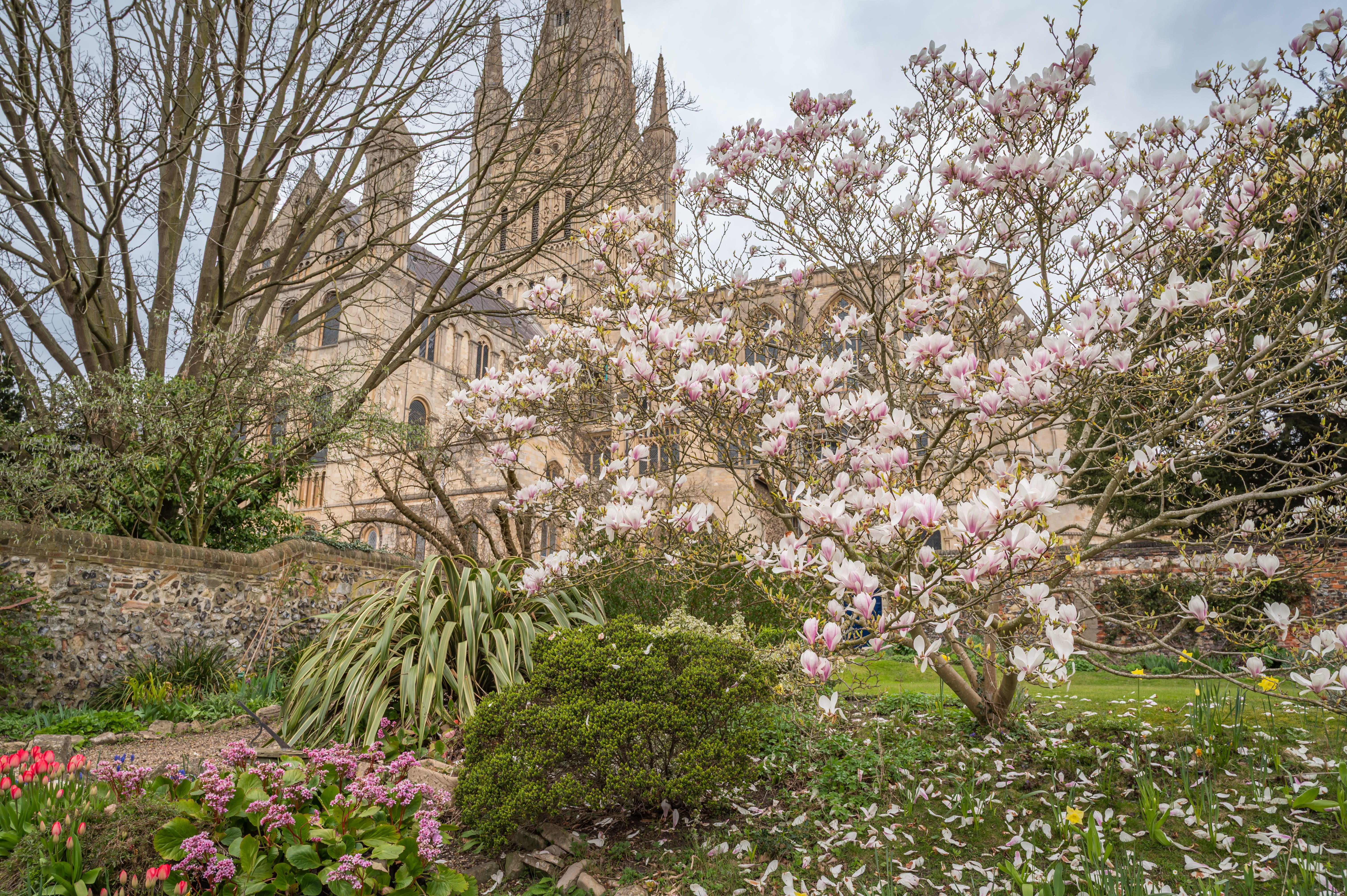 image-c776b69775e34d6a80e2c82a0c48c45b4a91c8aa-6048x4024-jpg