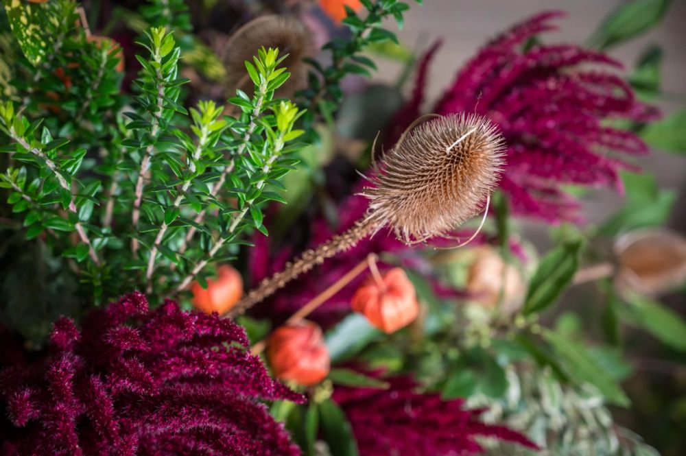 image-c92f09a0da47d2106eeb7c9670fa3a322ac840f3-6048x4024-jpg