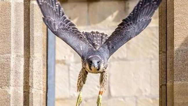 image-ca4ab197020b3cc54b92d5afa2b2ab4119e6ce6e-500x390-jpg