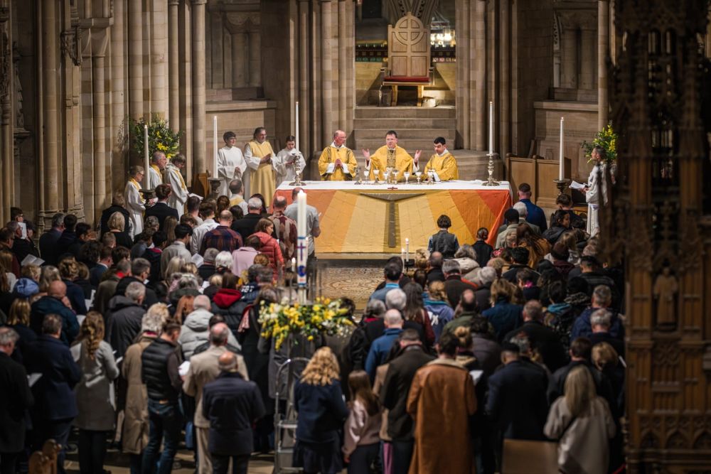 image-ccd235aff33e2c3c301276160d5957831331799d-8190x5460-jpg