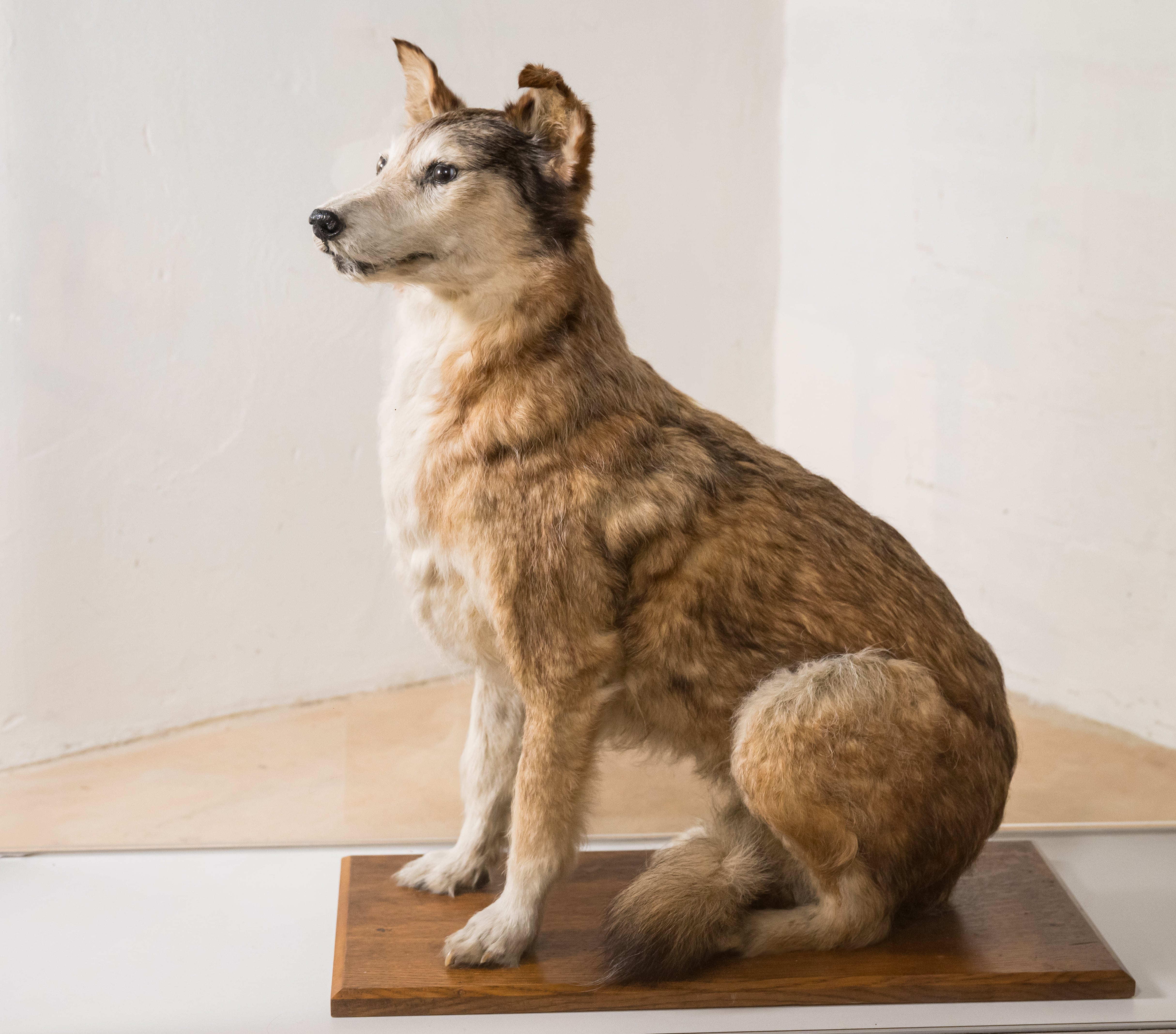 image-cfedfabceeba2213d6ba5363f76739c6ff53ab83-4858x4270-jpg