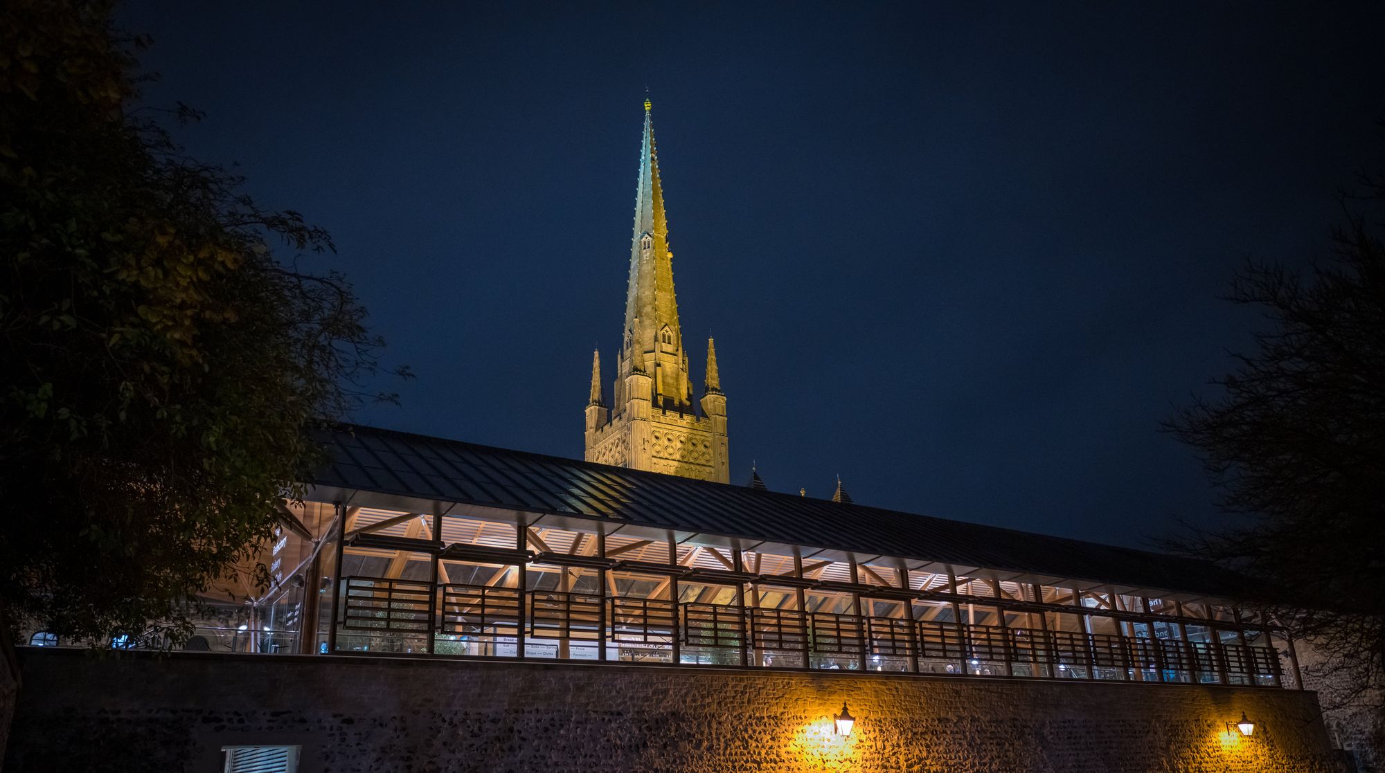 image-d252b2b2d67d48d50d2b6c0dc19f2e5c5b901cfe-8244x4603-jpg