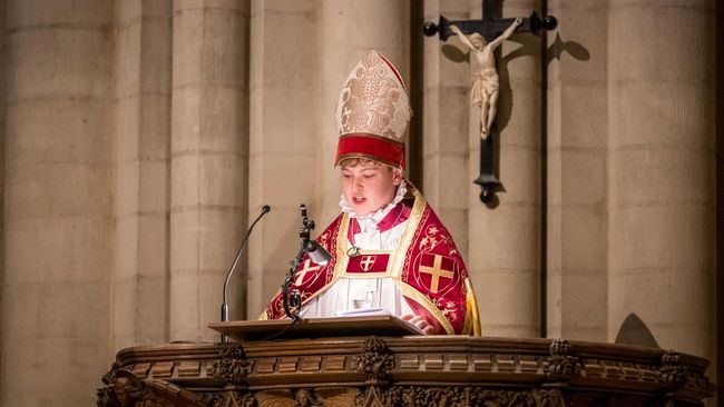 image-d3a04b41974707ba0c61a348fd231aa47d66ee08-7126x4751-jpg