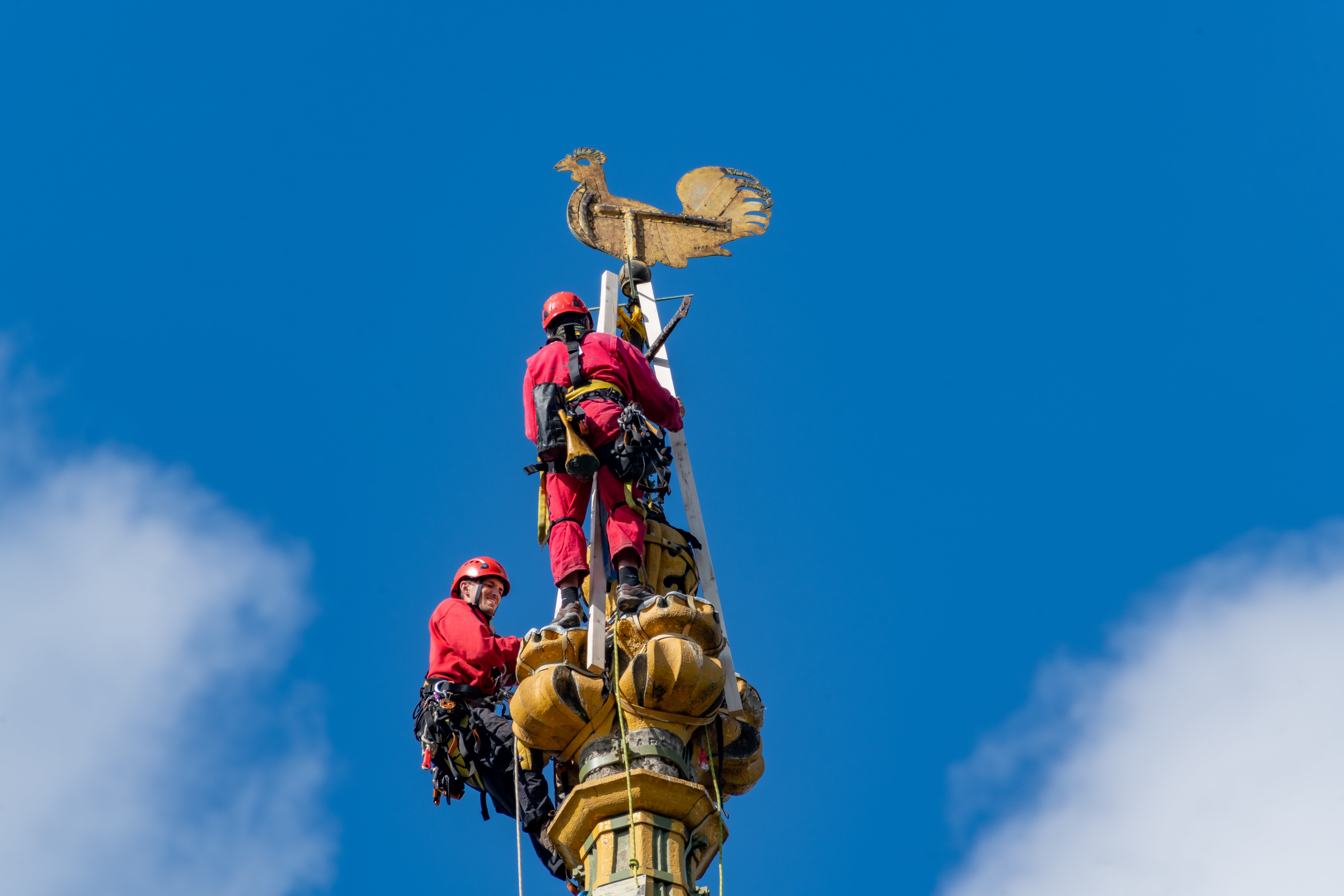 image-d8930bd8f4cc00a10f1baccd018871bc7de2ba19-7966x5311-jpg