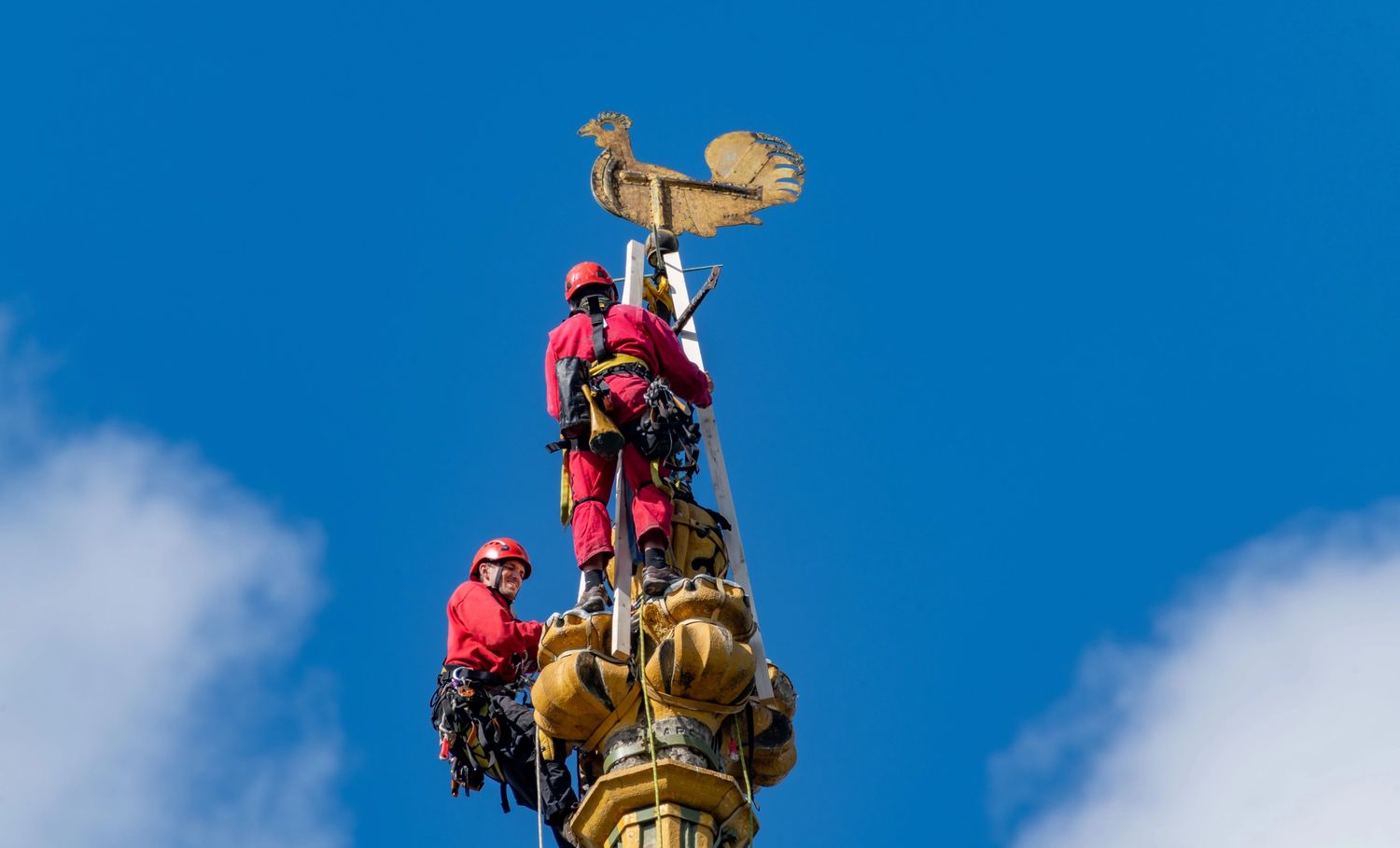 image-d8930bd8f4cc00a10f1baccd018871bc7de2ba19-7966x5311-jpg