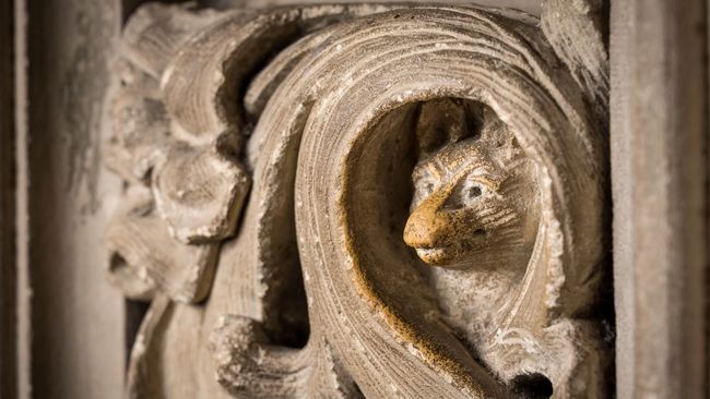 image-dd5a7c4fae88aef8512a3fa79b971189ca873219-7570x5047-jpg