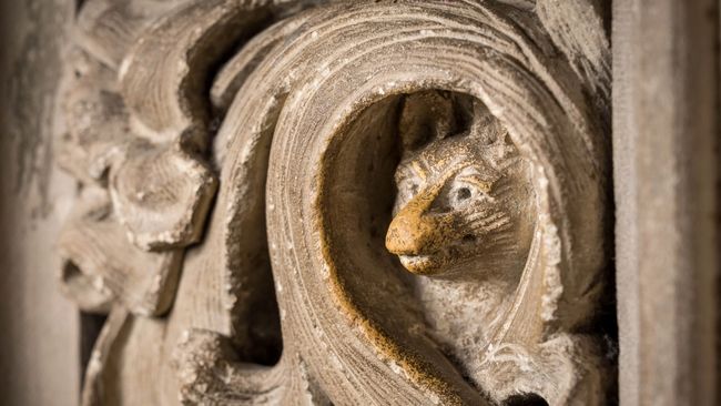 image-dd5a7c4fae88aef8512a3fa79b971189ca873219-7570x5047-jpg