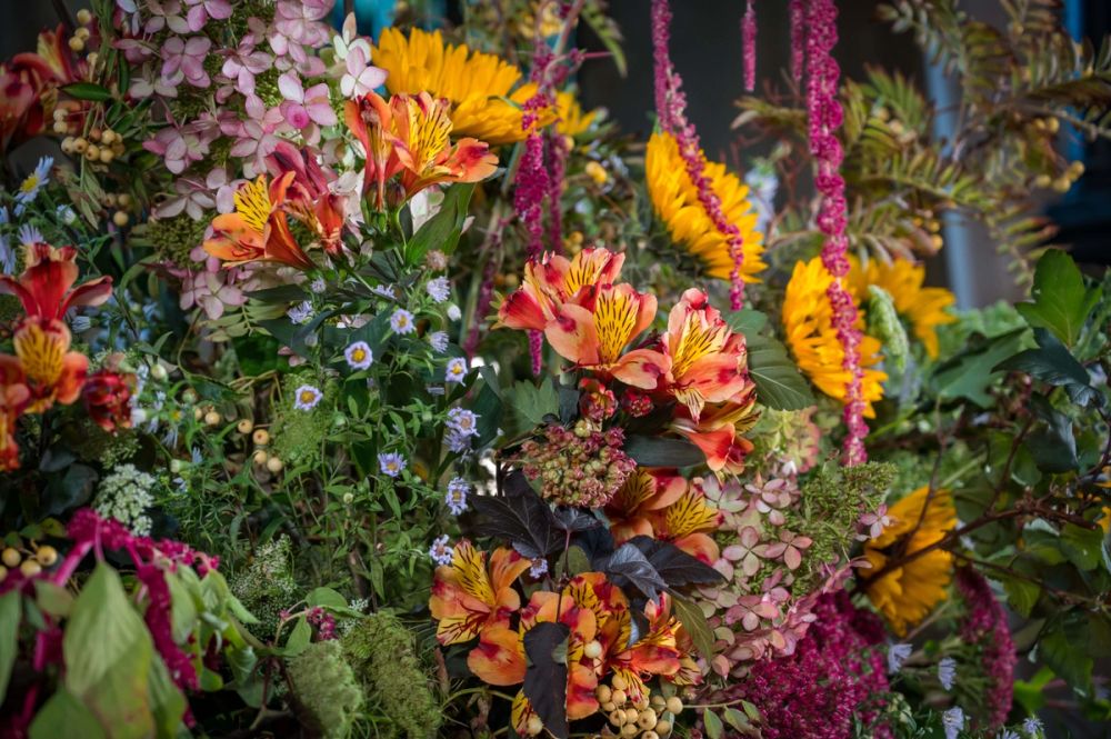 image-dee1f3ac8bf6b2bc87be187973352df87eff75aa-6048x4024-jpg