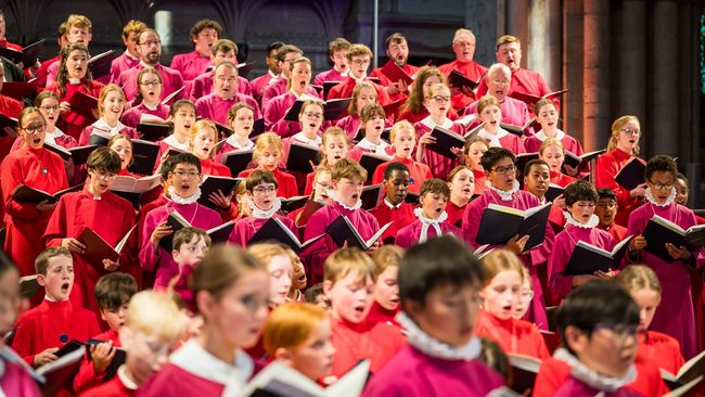 image-e1faabc398b170a0e933616792a9f661809c8a41-5232x3481-jpg