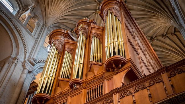 image-e3ba3aa0332a64565dd863f8c0c7820e80262c02-5604x4024-jpg