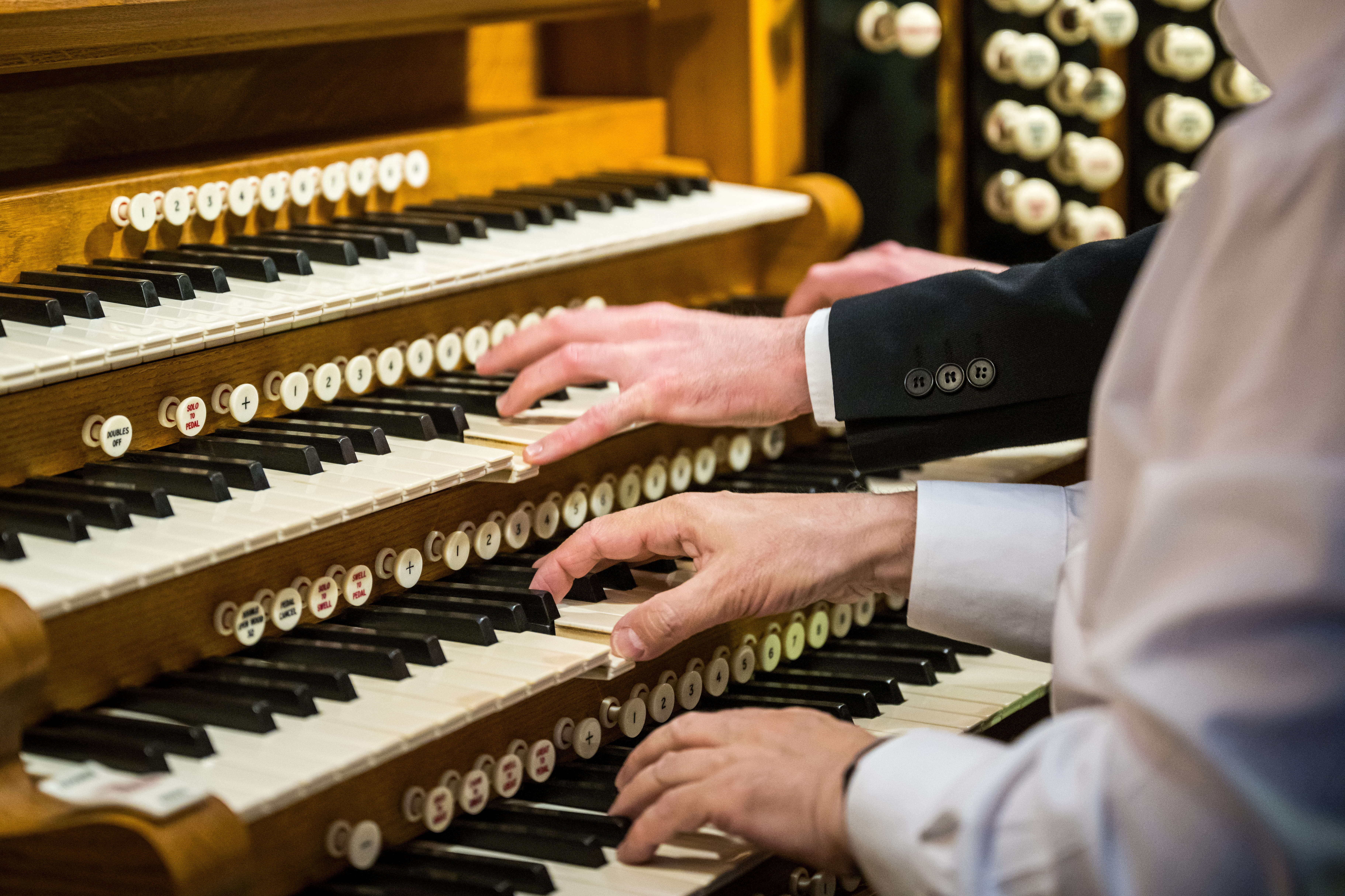 image-e40b58874a38acaec00d4c2f7e77e046995136b2-7293x4862-jpg