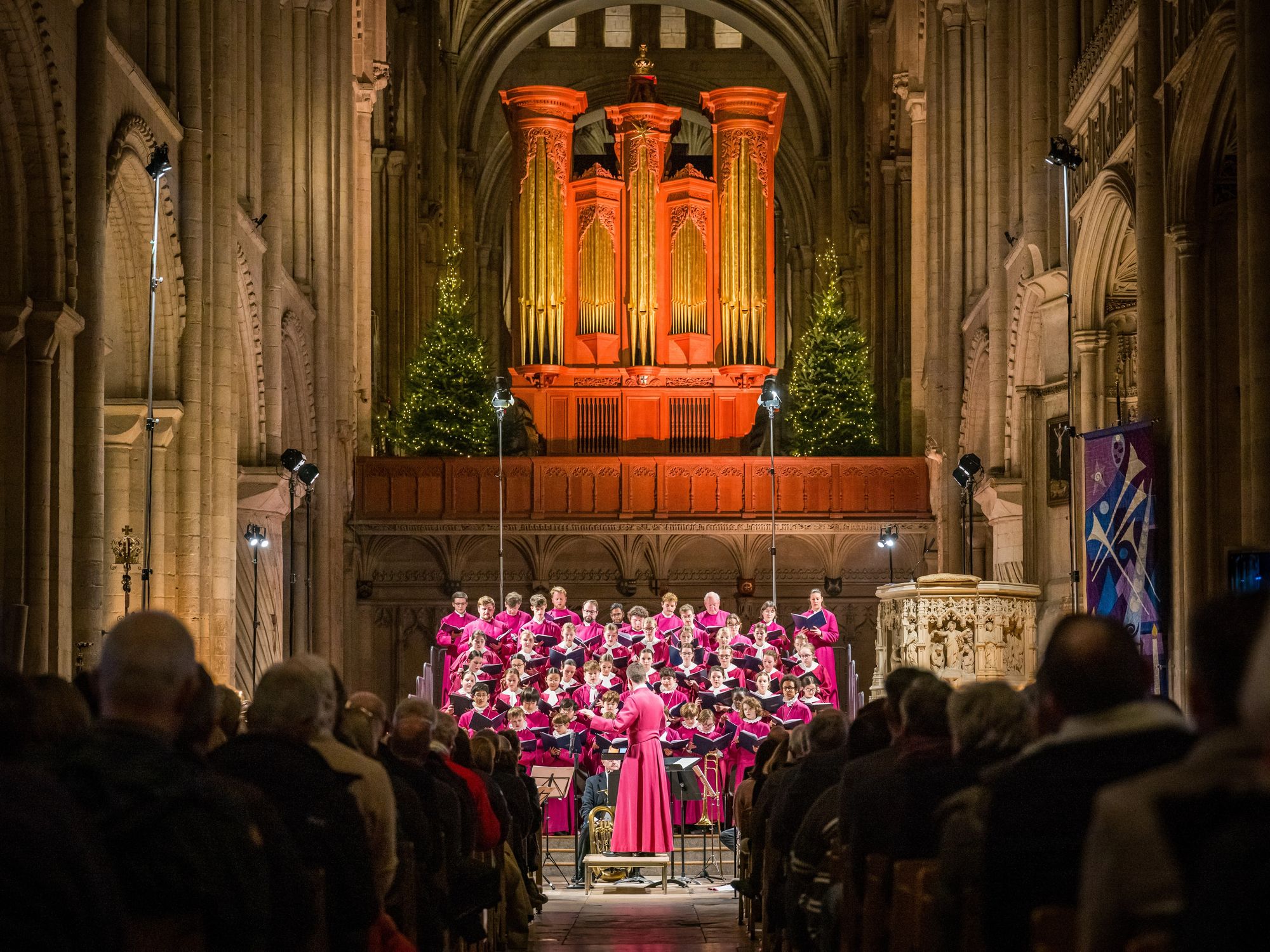 image-e92b62c4b08f853a048903154c854700744b22a4-7400x5504-jpg