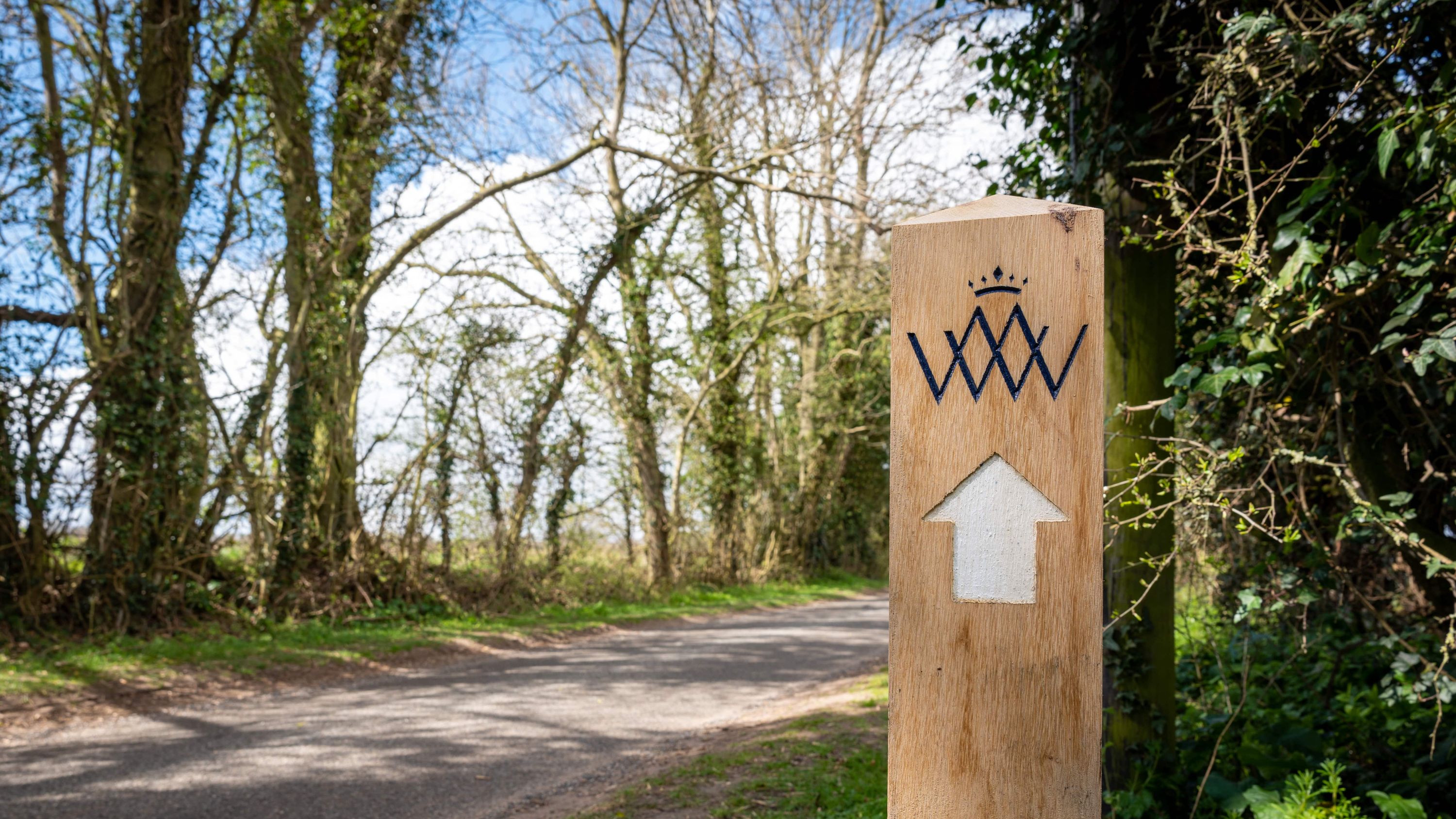 image-e95011f77fb67d9de8eeaacfd31c2e5a9d30d6c3-5811x3866-jpg