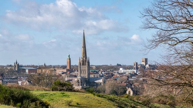 image-ee8eee2140db42886c17ec411850fa848a484865-7984x5323-jpg