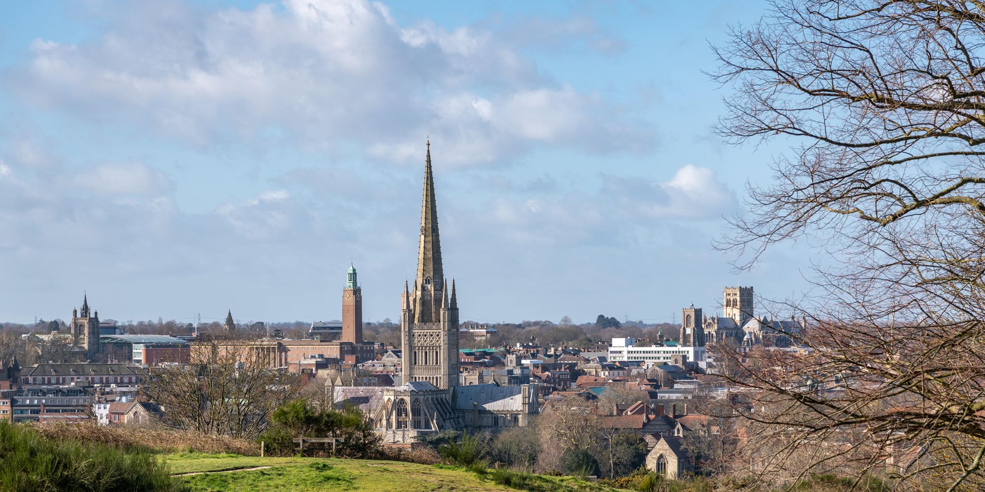 image-ee8eee2140db42886c17ec411850fa848a484865-7984x5323-jpg