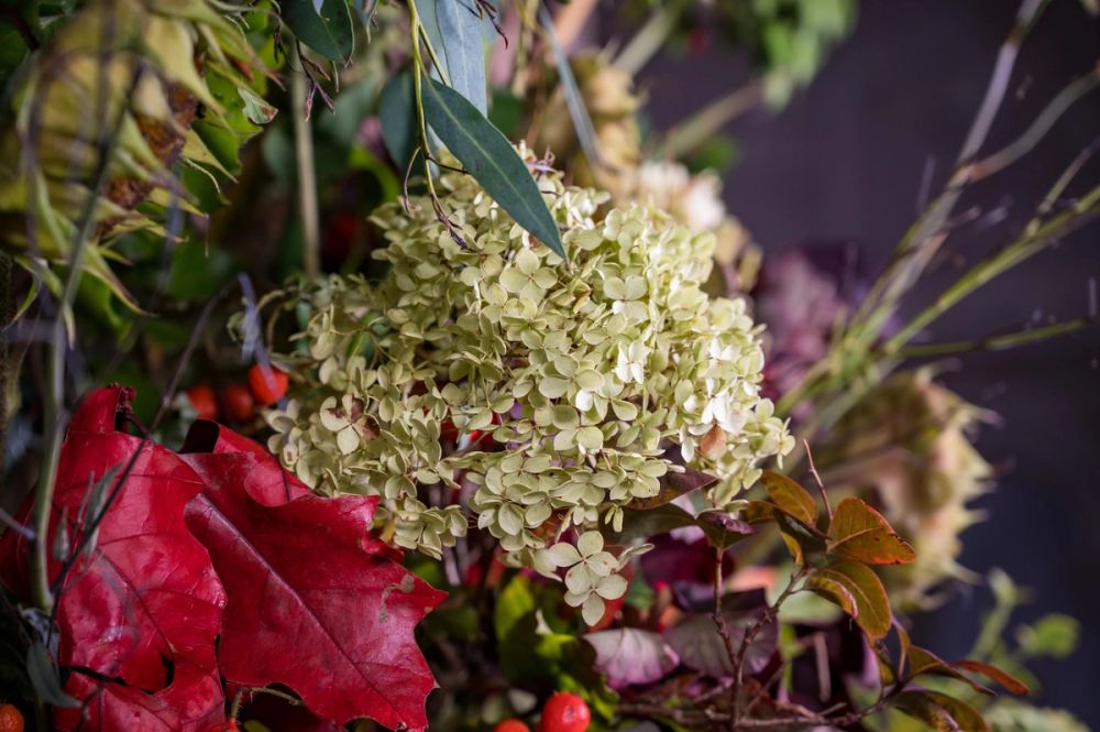 image-f0912dac80491269b348946f93ca82ddd95485aa-6048x4024-jpg