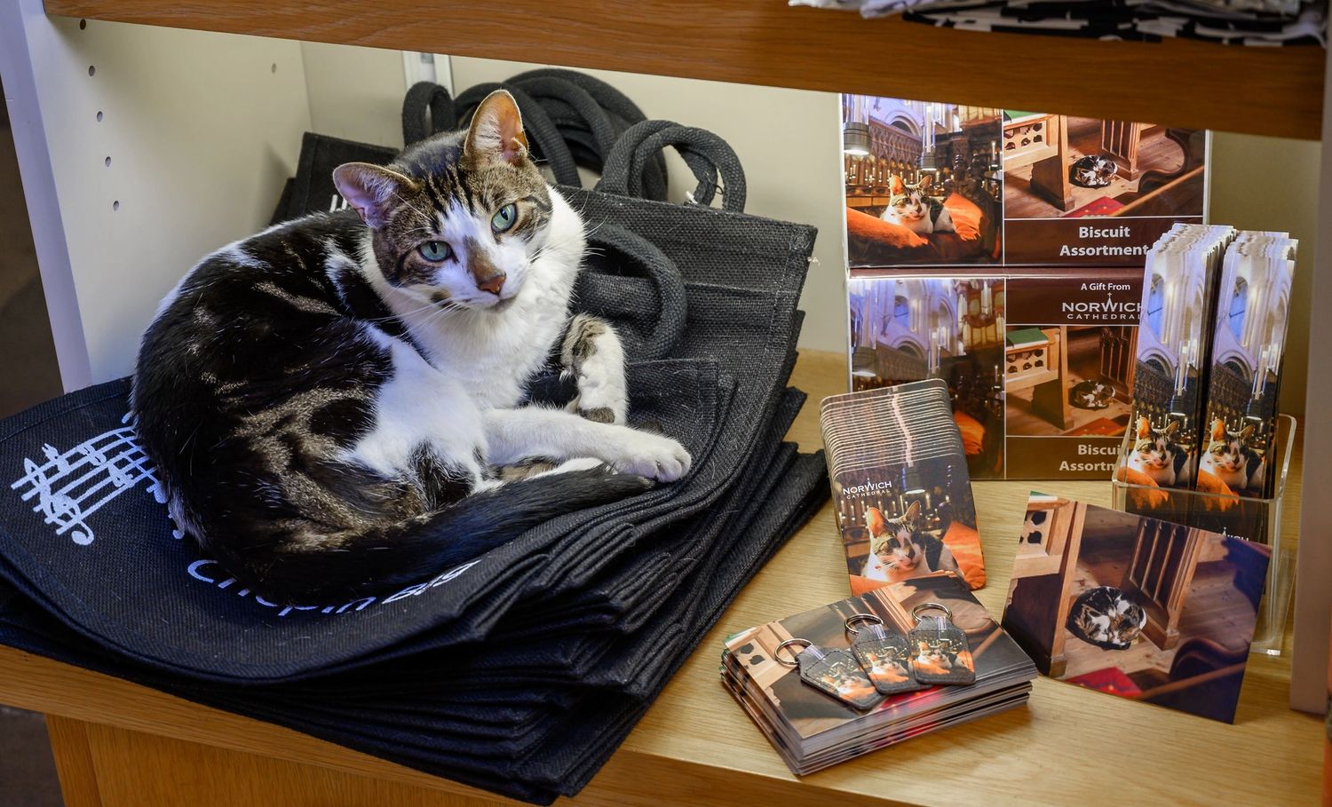 image-f39d2ff596b1783f4b56d3b88de4350ed093b61d-5455x3293-jpg