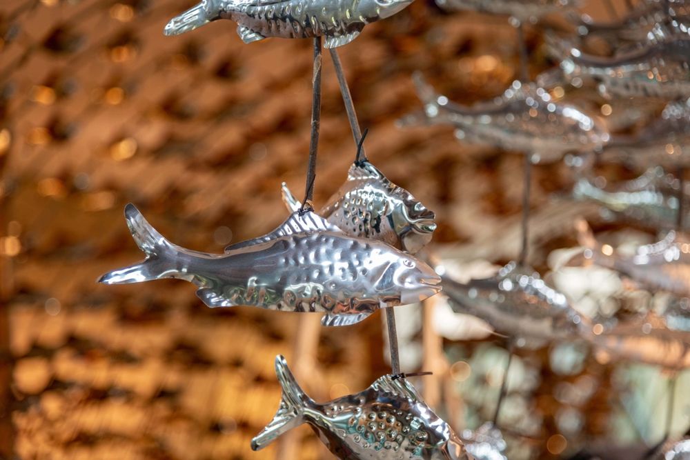 image-f3fc9bfbf7f3dd4c56d77ba2c869fe538f68f1f1-8256x5504-jpg