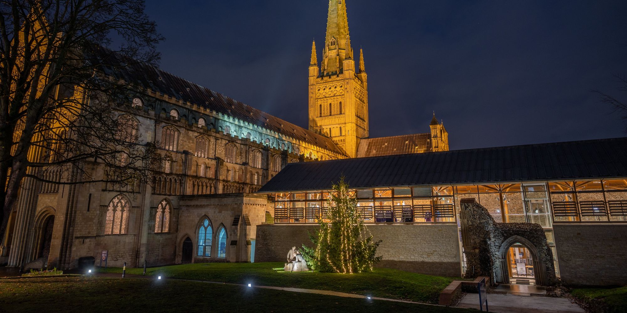 image-f9852e65a8a70903721f1dc597379b4c235bdd2e-6048x4024-jpg