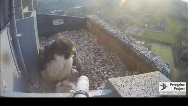 image-fba6a2af07715500a62b05092fee64c67a806ce3-520x390-jpg