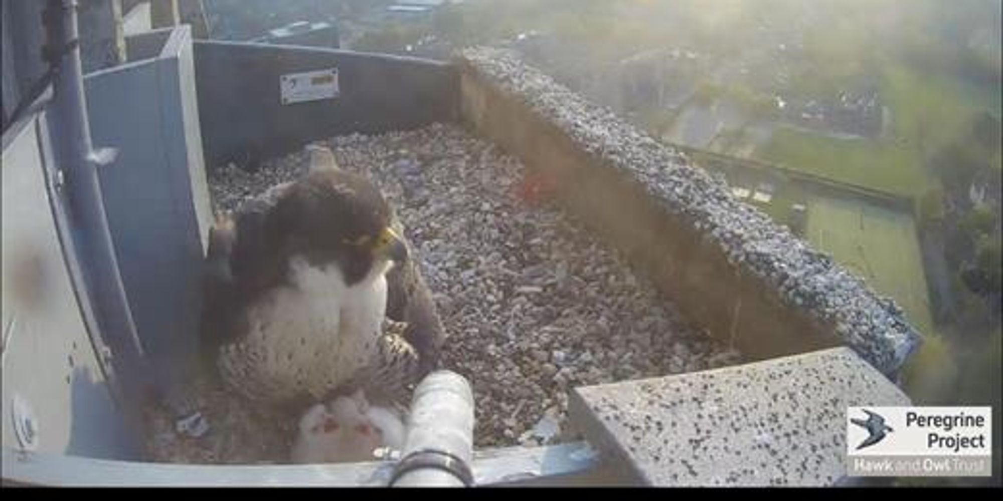 image-fba6a2af07715500a62b05092fee64c67a806ce3-520x390-jpg