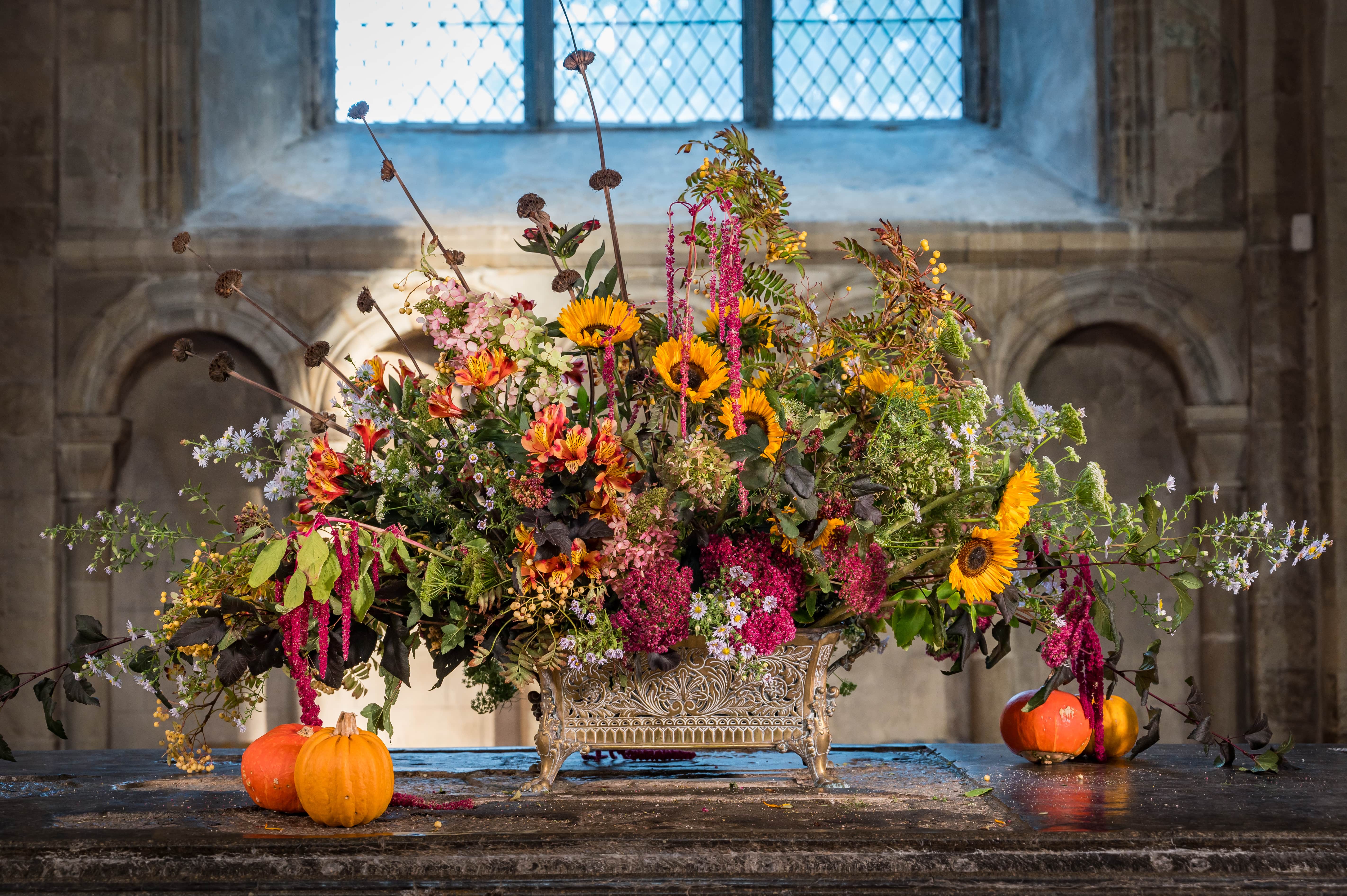 image-fd976ad20ce14ddb0f3c230c76eb1528a49388d8-5689x3785-jpg