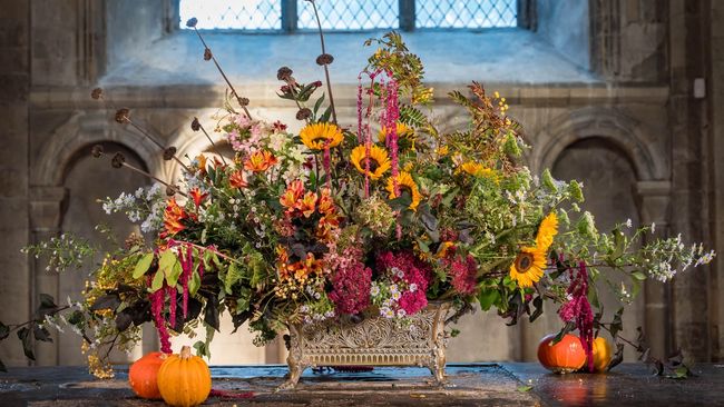 image-fd976ad20ce14ddb0f3c230c76eb1528a49388d8-5689x3785-jpg