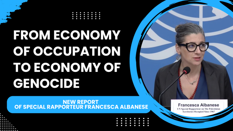 Puoi leggere l’ultimo report della Relatrice Speciale ONU Francesca Albanese