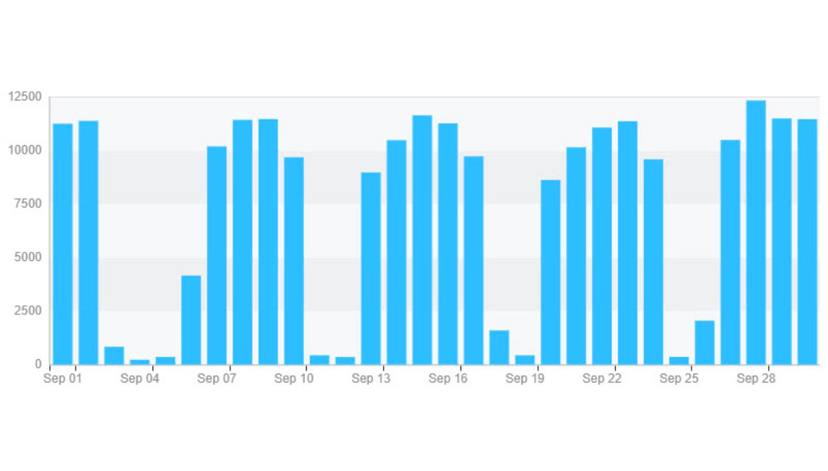 Zoom usage