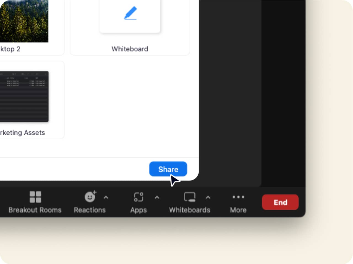 Zoom screen sharing