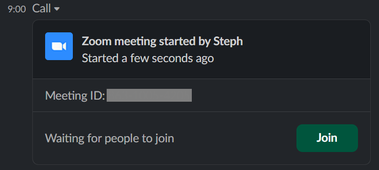 Using the _zoom slash command