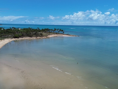 Casa de Luxo Sonho Verde - Imagem 5