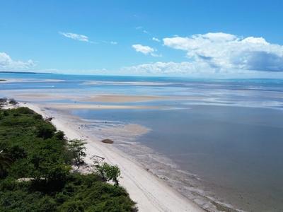 Casa de Luxo Sonho Verde - Imagem 2