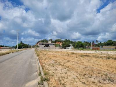 Lotes dentro do condomínio em Paripueira-AL - Imagem 3