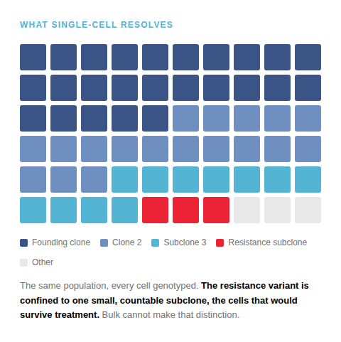 Grid diagram titled "What Single-Cell Resolves," showing the same 7x8 grid of squares now color-coded by genotype: dark blue for founding clone, medium blue for Clone 2, teal for Subclone 3, red for resistance subclone, and light gray for other. The red resistance subclone appears as a distinct cluster of 3 squares within the grid. Caption reads: The same population, every cell genotyped. The resistance variant is confined to one small, countable subclone — the cells that would survive treatment. Bulk cannot make that distinction.