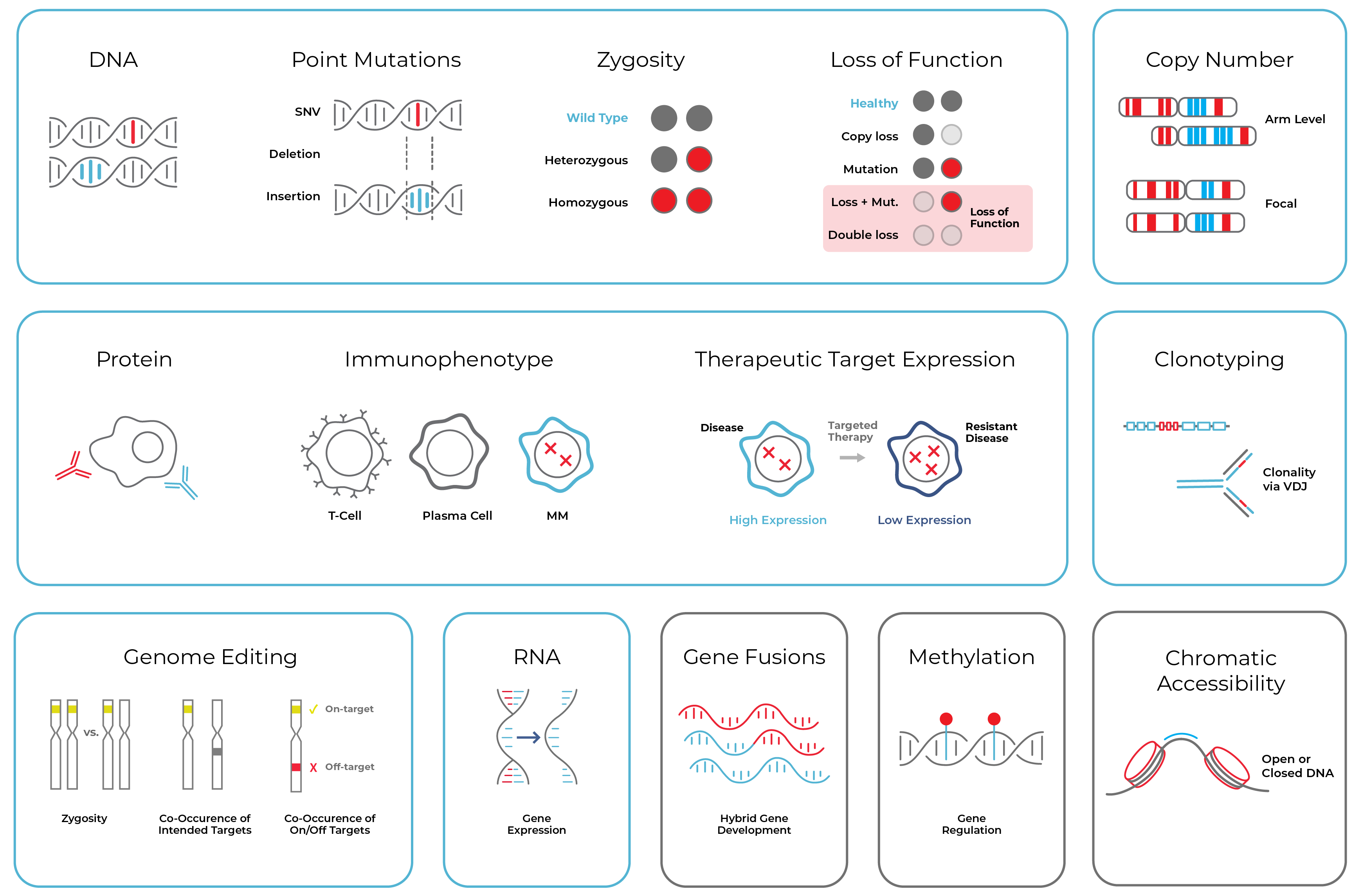 Infographic of Tapestri multiomic assessment capabilities, organized into 12 categories: DNA (point mutations, zygosity, loss of function, copy number), Protein (immunophenotype, therapeutic target expression, clonotyping), and additional modules for genome editing, RNA, gene fusions, methylation, and chromatin accessibility.