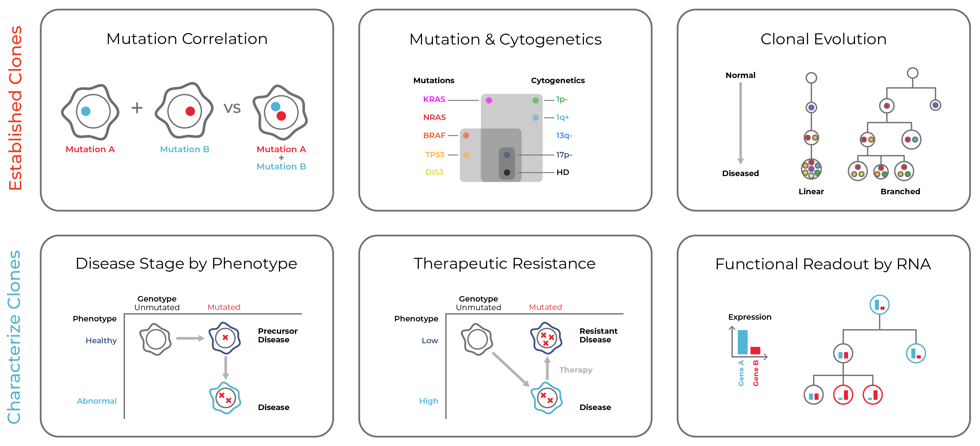 Diagram showing single-cell multiomic readouts for drug development: mutation co-occurrence, clonal evolution, disease staging, and therapeutic resistance tracking on the Tapestri platform.
