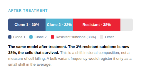 Horizontal stacked bar chart titled "After Treatment," divided into segments: Clone 1 at 30% (dark blue), Clone 2 at 22% (light blue), Resistant at 38% (red, now a much larger segment), and a small gray Other segment. Caption reads: The same model after treatment. The 3% resistant subclone is now 38%, the cells that survived. This is a shift in clonal composition, not a measure of cell killing. A bulk variant frequency would register it only as a small shift in the average.