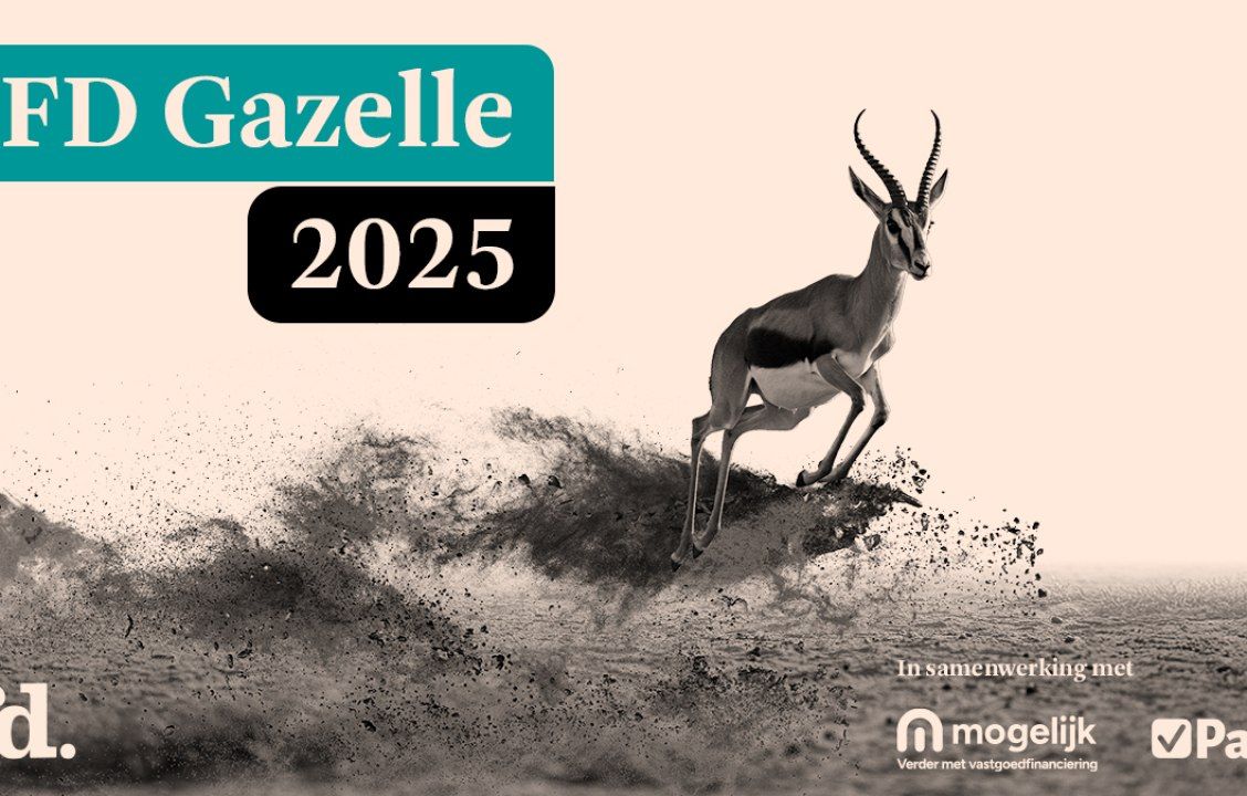 Optimaal Leadgeneratie FD Gazelle 2025